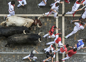 Disfruta tu visita a Pamplona